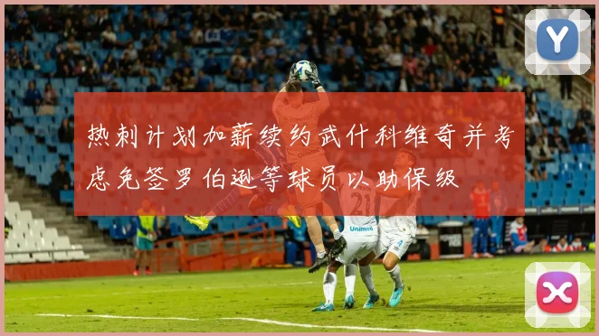热刺计划加薪续约武什科维奇并考虑免签罗伯逊等球员以助保级